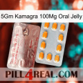 5Gm Kamagra 100Mg Oral Jelly new13